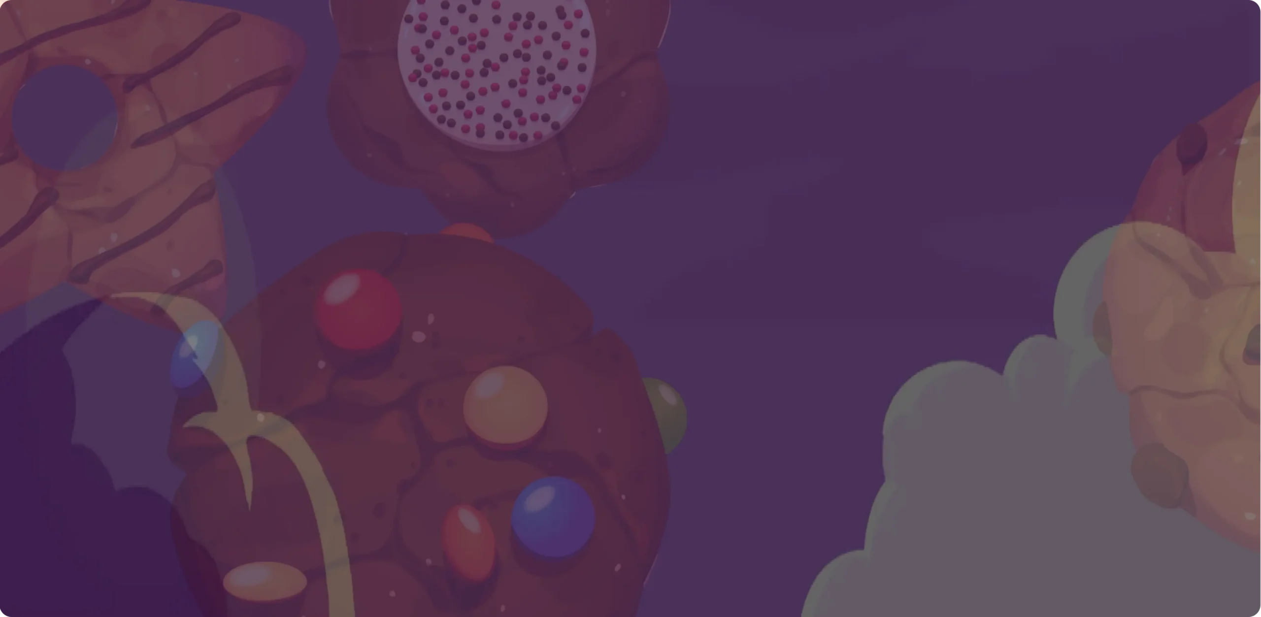 different-cookies-bg